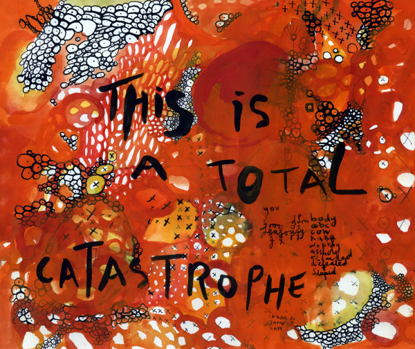 This is a total catastrophe by Sarah Jane Lapp