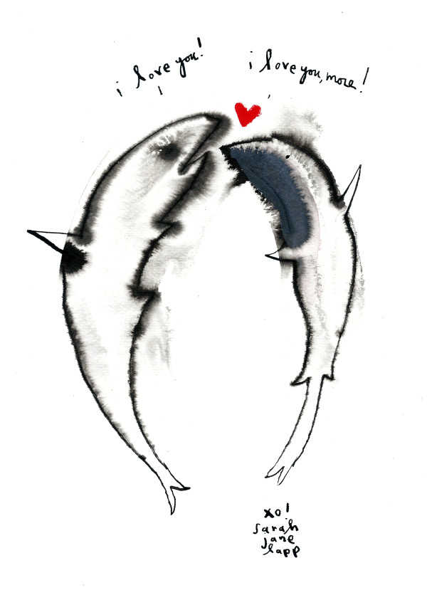 Sharks by Sarah Jane Lapp