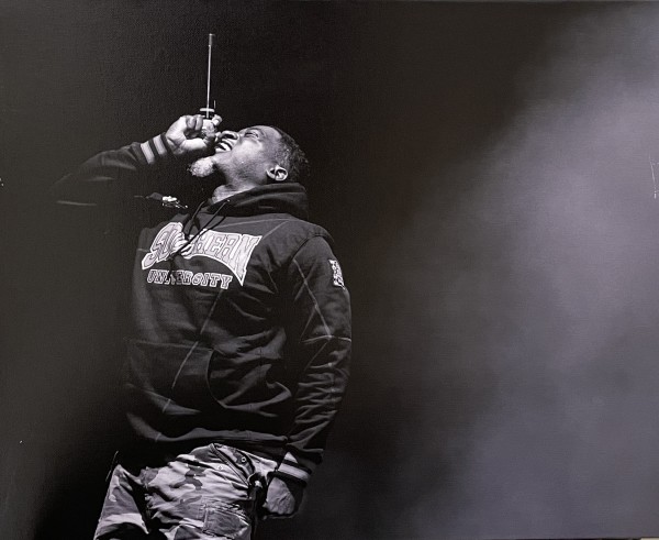 David Banner, Hip Hop Icon by Dokk Savage
