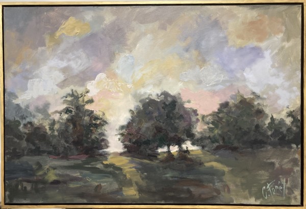 Dusk in Limestone County by Carole Foret