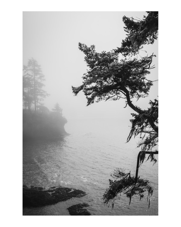 Fog Rolls In; Salt Creek Recreation Area (Port Angeles, Washington) by Margaret Todd