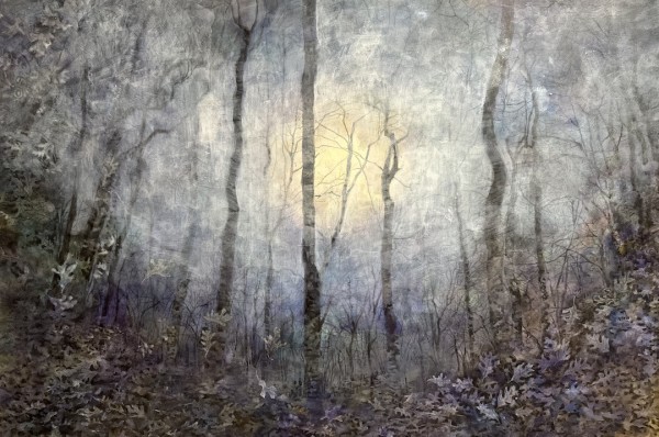 Moonlit Forest by Yuri Ozaki