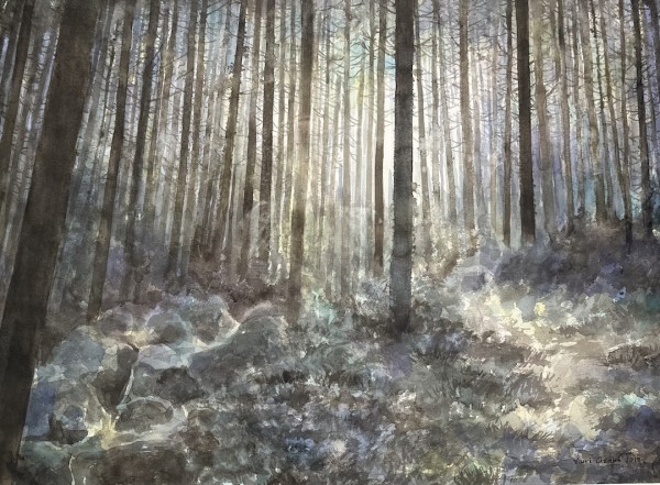 Owase Forest (Japan) by Yuri Ozaki