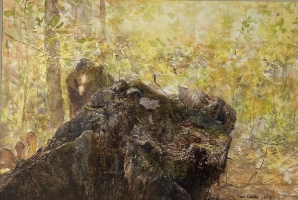 Rotting Tree Stump by Yuri Ozaki