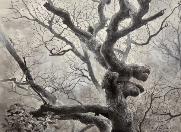 Tree #5 by Yuri Ozaki