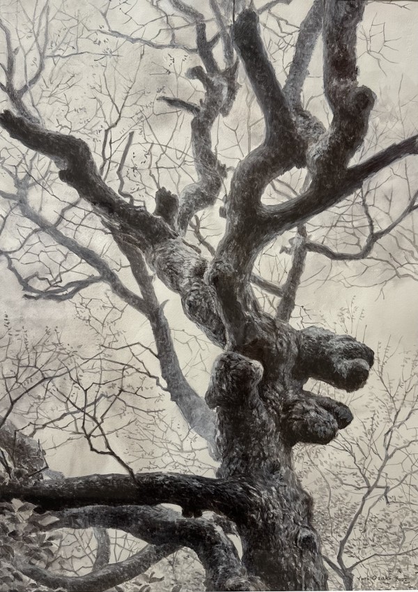 Tree #6 by Yuri Ozaki