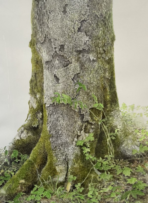 Tree #8 by Yuri Ozaki