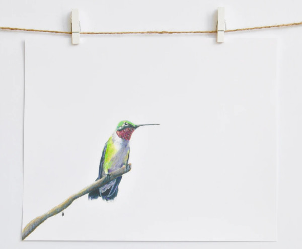 Ruby-throated Hummingbird by Sam Brunson