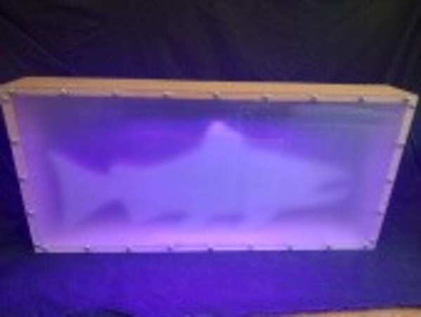 Ghost Salmon by Harold Hoy