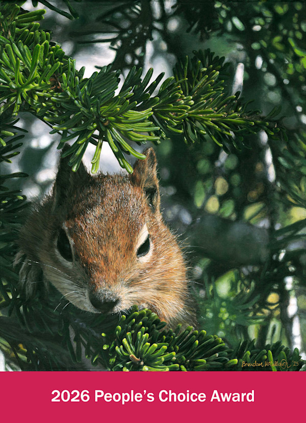 A Curious Friend by Brendan McCullough