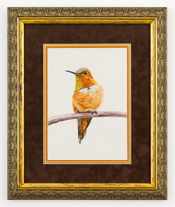 Rufous the Curious by Kathleen Cremonesi