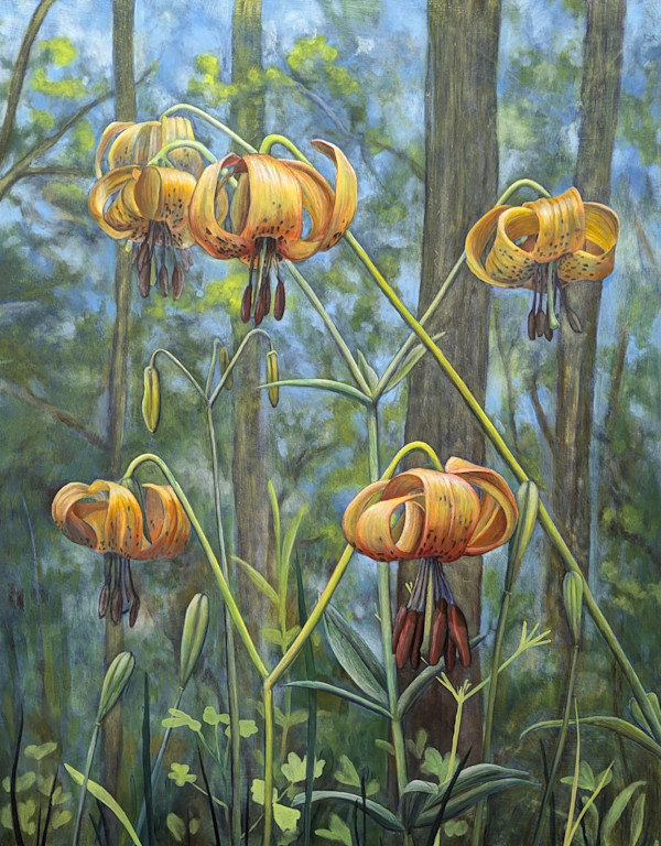 Tiger Lily by Barbara Counsil