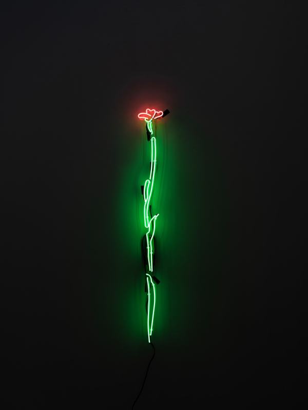 Pain is Flowers by Ricardo Luévanos