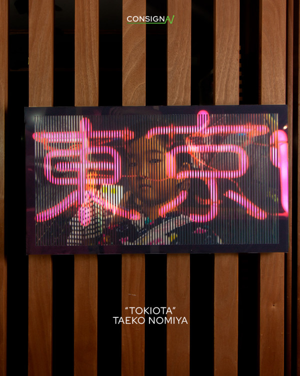 TOKIOTA by TAEKO NOMIYA