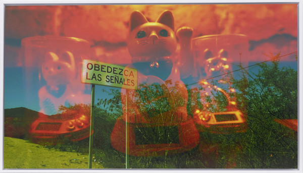 LAS SEÑALES OBEDEZCA by TAEKO NOMIYA