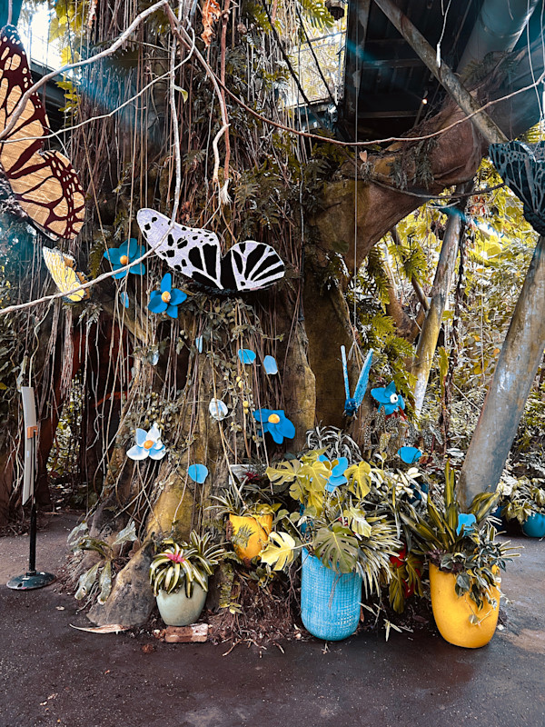 Whenever I See A Butterfly, I Know I'll Be Ok by Asia Armour, Image 1.