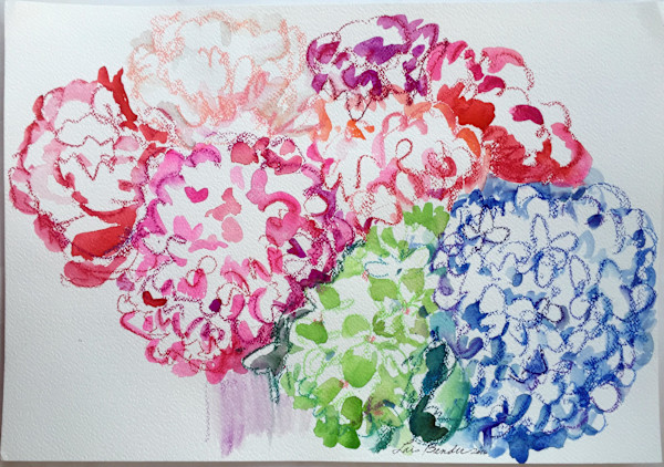 Multicolor Hydrangeas Bouquet by Lois Bender, Image 1.
