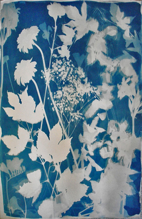 Flora and Botanica in Silhouette by Lois Bender, Image 1.