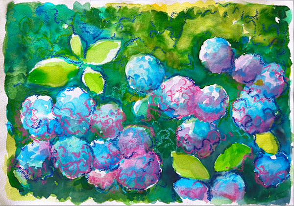 Baker House 1650 Hydrangeas II by Lois Bender, Image 1.