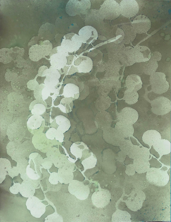 Eucalyptus Shadows IX by Lois Bender, Image 1.