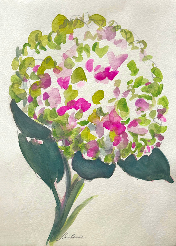 Pink/Green Hydrangeas by Lois Bender, Image 1.