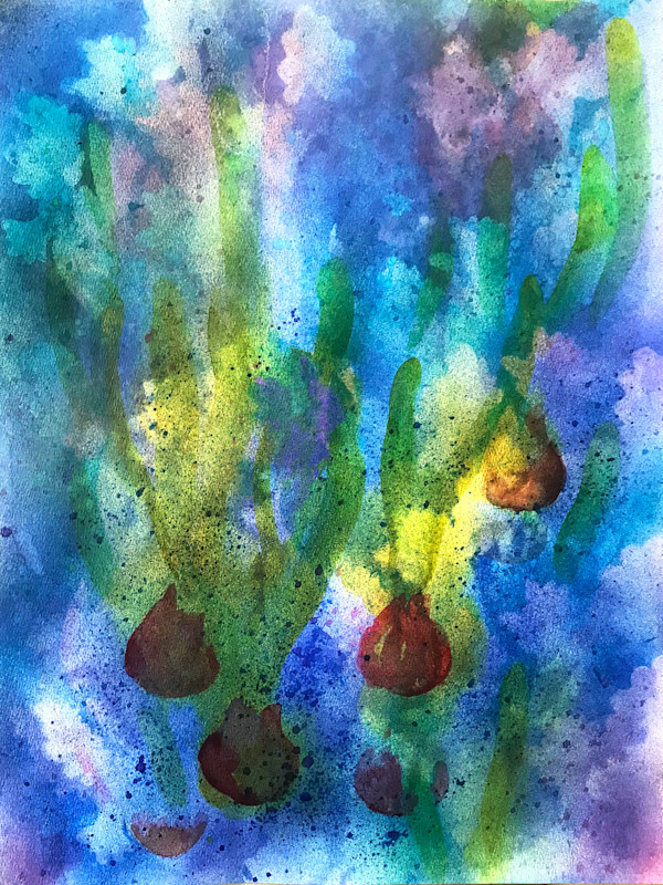Floating Hyacinth Bulbs I by Lois Bender, Image 1.