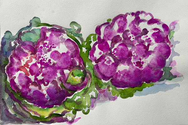 Autumnal Cauliflowers by Lois Bender, Image 1.