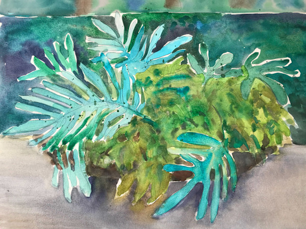 Ferns by Lois Bender, Image 1.
