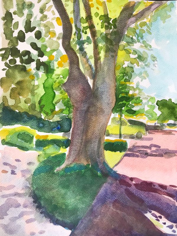 Landscape Details Old Tree II by Lois Bender, Image 1.
