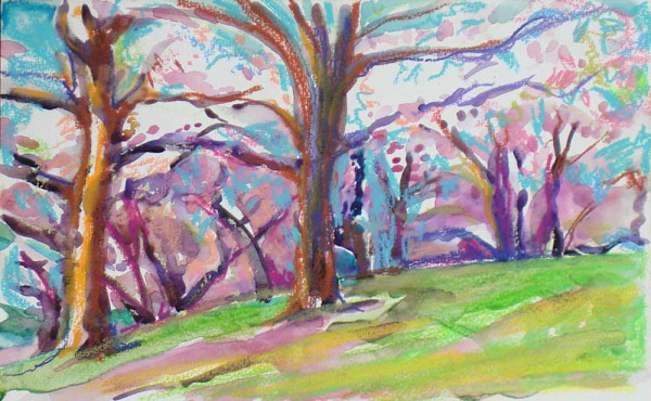Spring Cherries at 72nd St., Central Park, NYC by Lois Bender, Image 1.