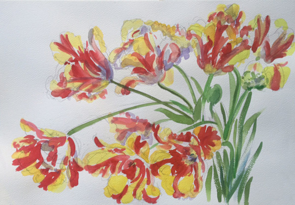 Parrot Tuliips by Lois Bender, Image 1.