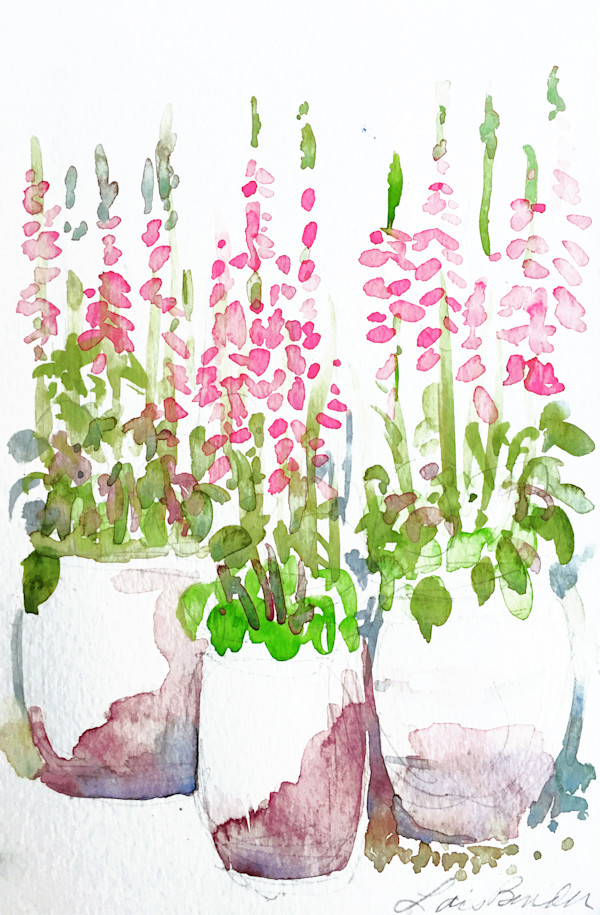 Containers of Foxgloves by Lois Bender, Image 1.