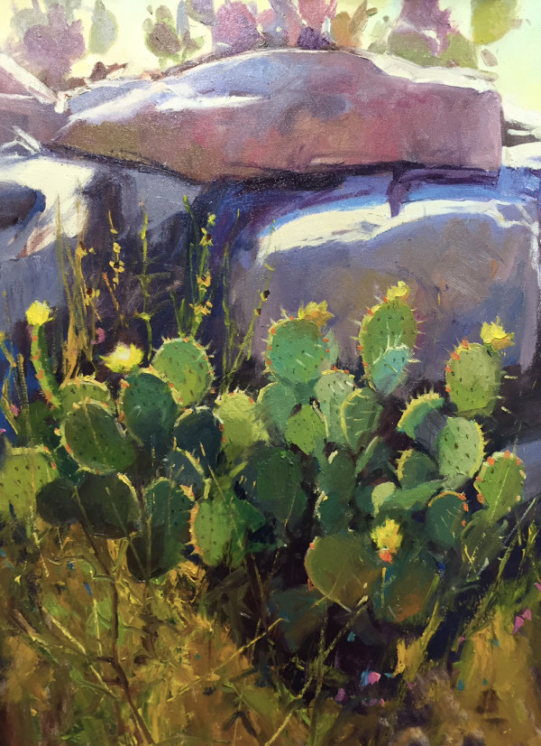 Cactus Amongst Granite by Rusty Jones