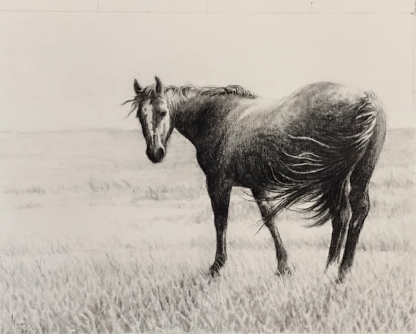 Tail Wind by Lori Jones
