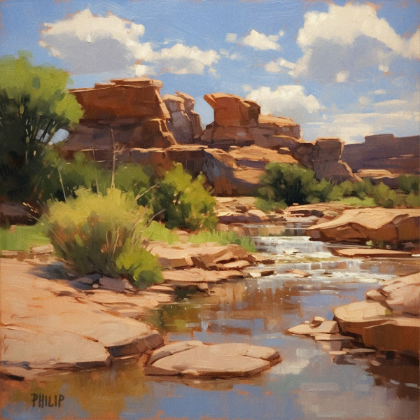 Desert Pool by Michelle Philip