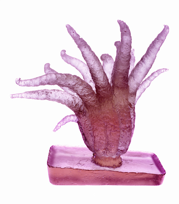 Magenta Tentacles by Susan Reddrop, Image 1.