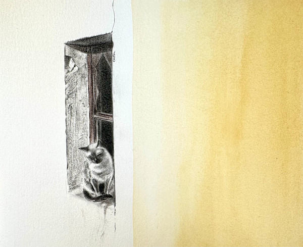 Cat on Windowsill by Emese Cuth