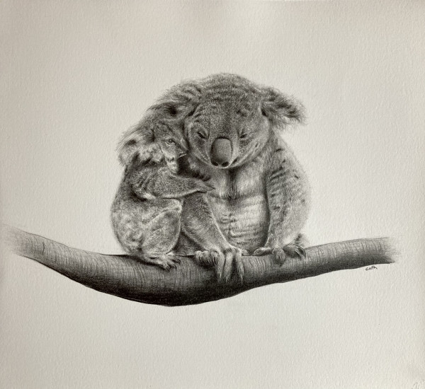 Koala Mum and Joey