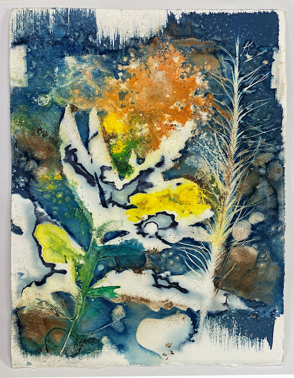 Untitled Cyanotype by Jan Cramer