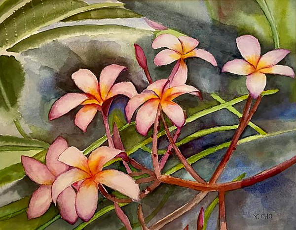 Plumeria by Young Cho