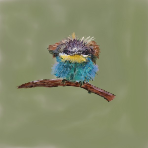 , Angry bird '? by Bella Moraes ArtWork