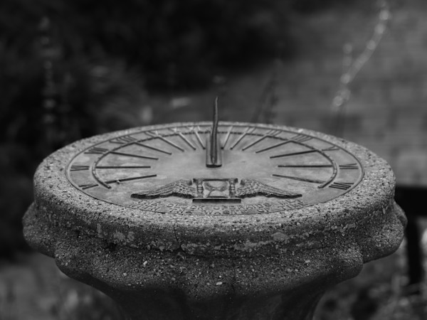 Wasting Time by Jay Laxton