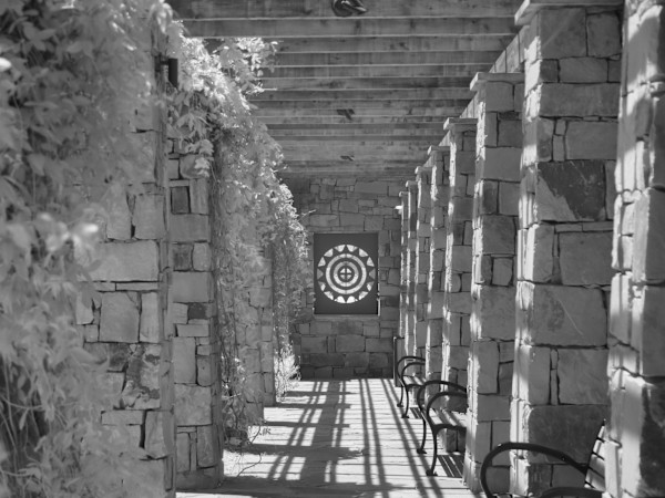 Walkway by Jay Laxton