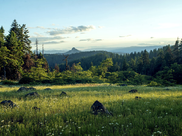Afternoon Shadows, Cascade-Siskiyou National Monument, Jackson County, Oregon by Mark Tribe Studio