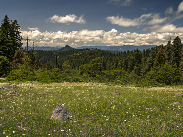 Midday Sunshine, Cascade-Siskiyou National Monument, Jackson County, Oregon by Mark Tribe Studio