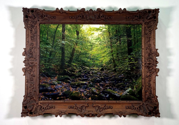 Black Brook, Balsam Lake Mountain Wild Forest, Ulster County, New York by Mark Tribe Studio
