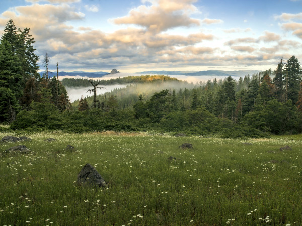 Morning Fog, Cascade-Siskiyou National Monument, Jackson County, Oregon by Mark Tribe Studio