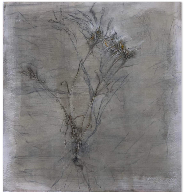 time to thrive by Caroline Sirois