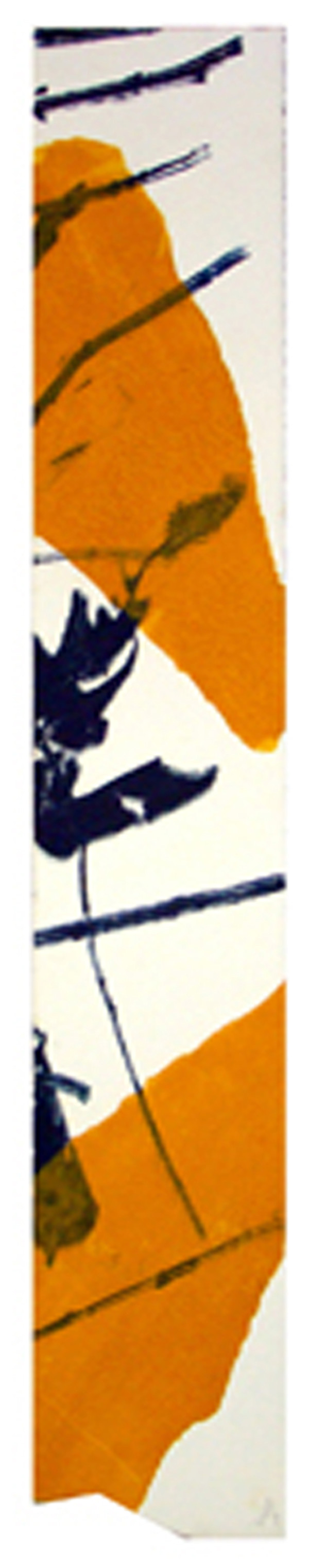 NATURE’S REMNANTS 1 by John Avakian