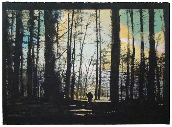 WILDERNESS WONDER 6 by John Avakian